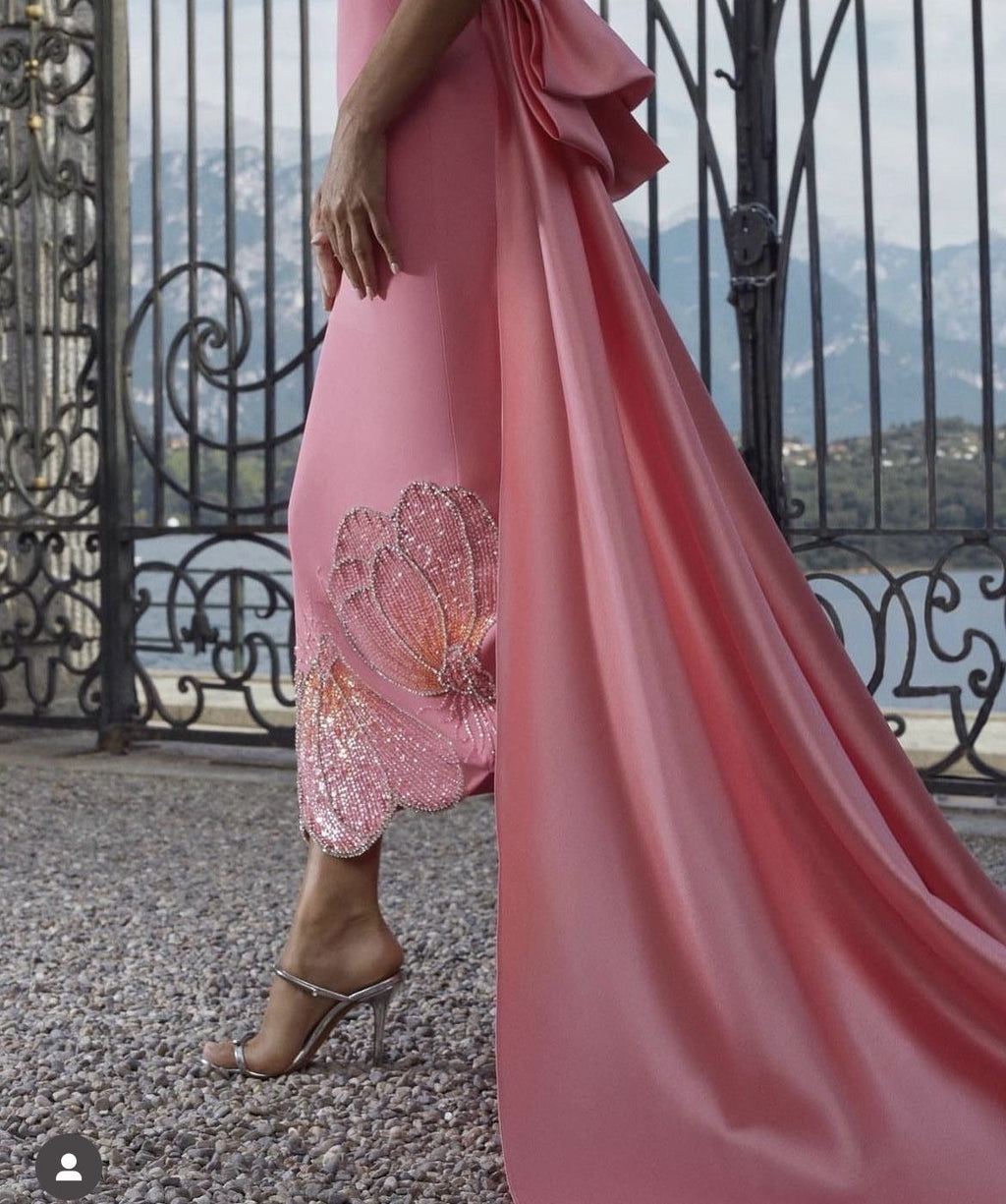Robe de Soirée Rose avec Détail Brodé et Traîne